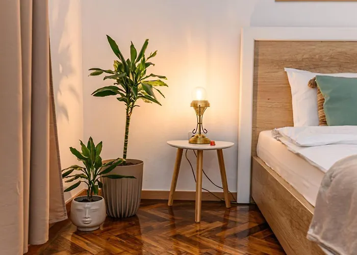 Muresan House In The Historic Center Braşov